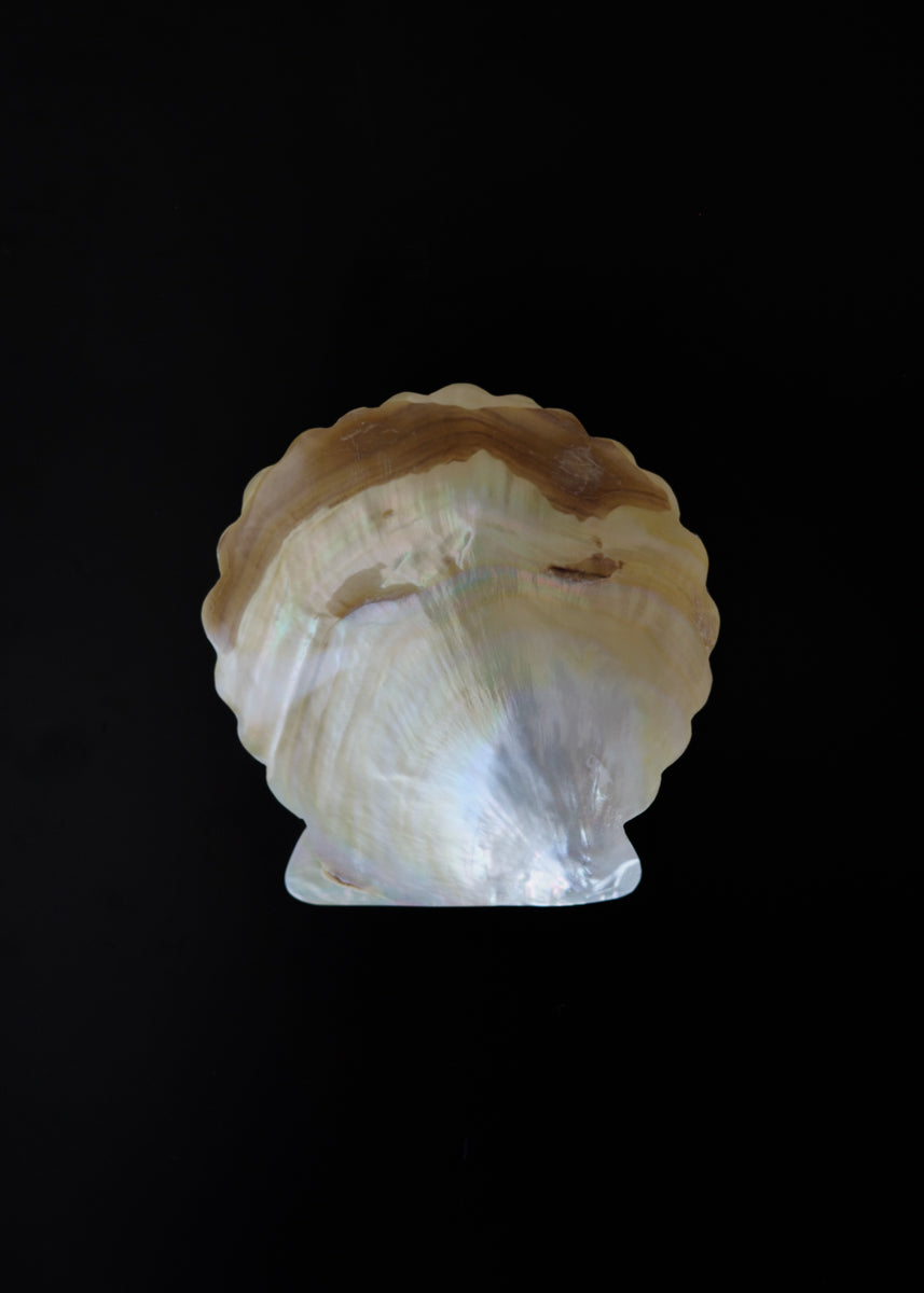 Shell petite plate
