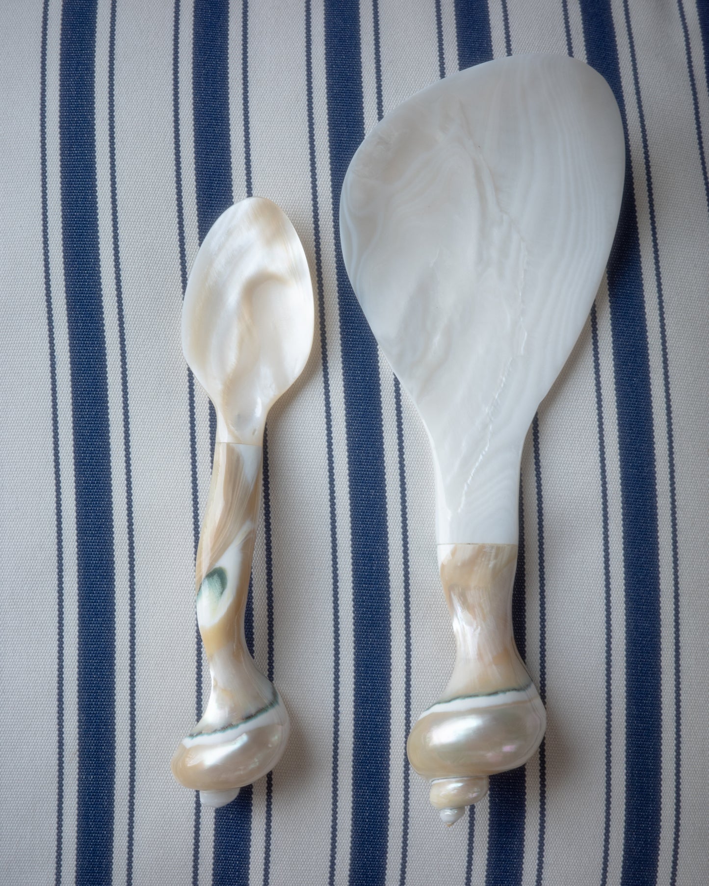 Petite lagoon shell spoon