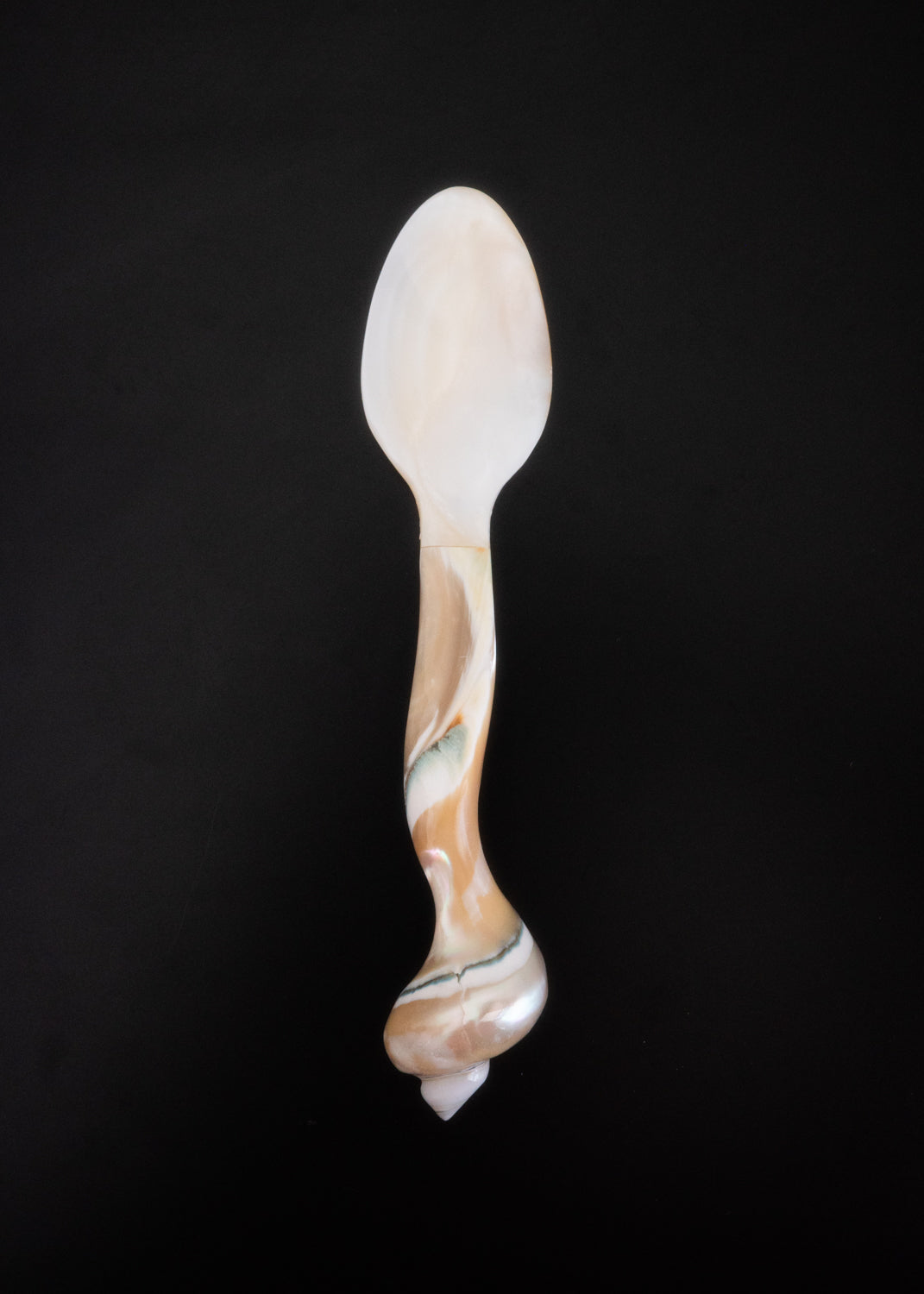 Petite lagoon shell spoon