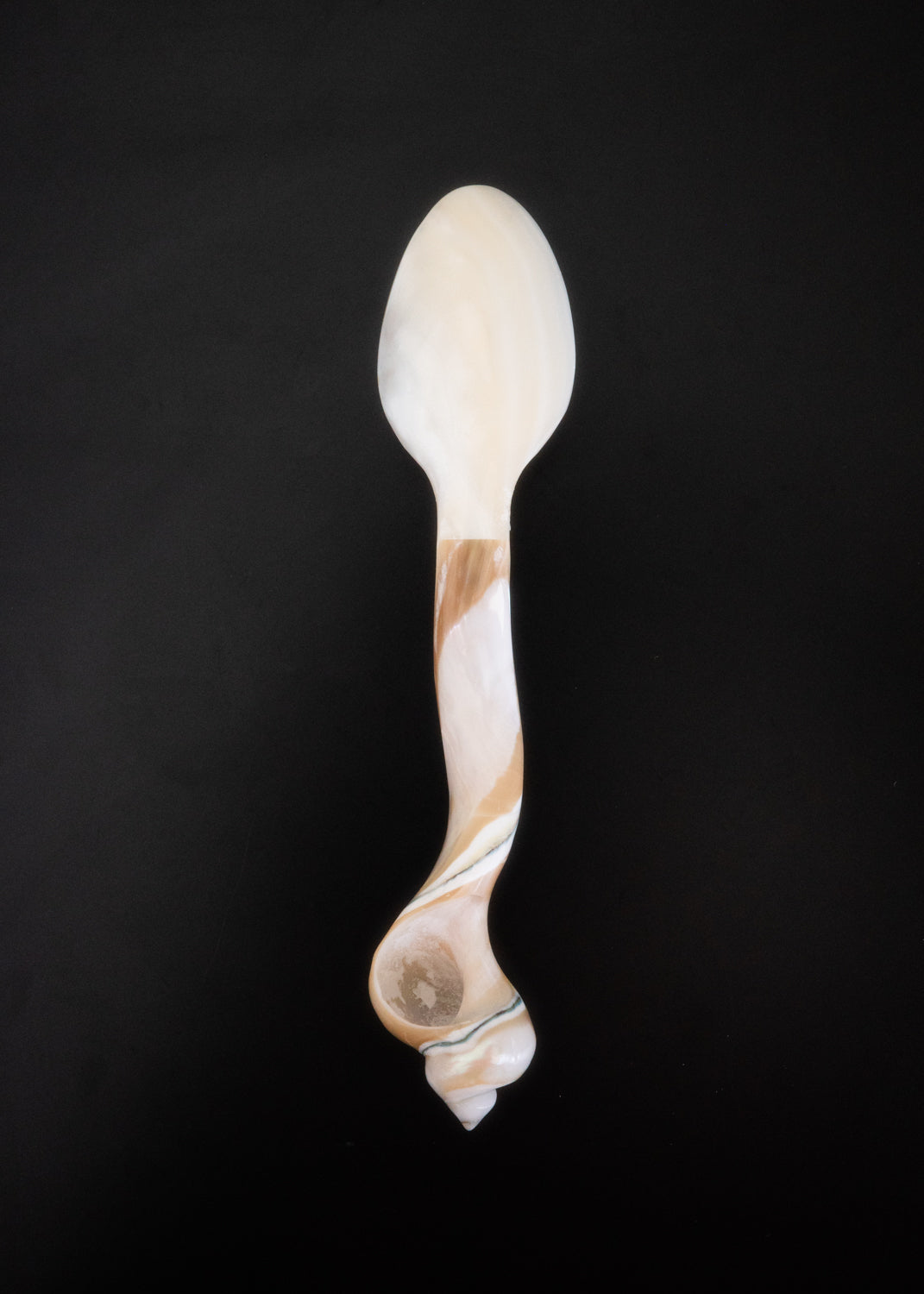 Petite lagoon shell spoon