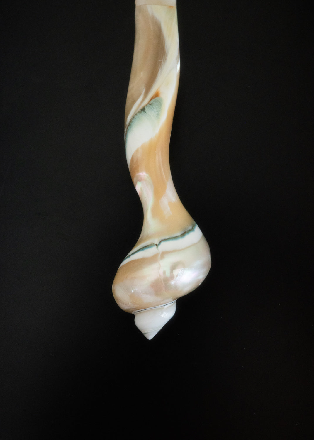 Petite lagoon shell spoon
