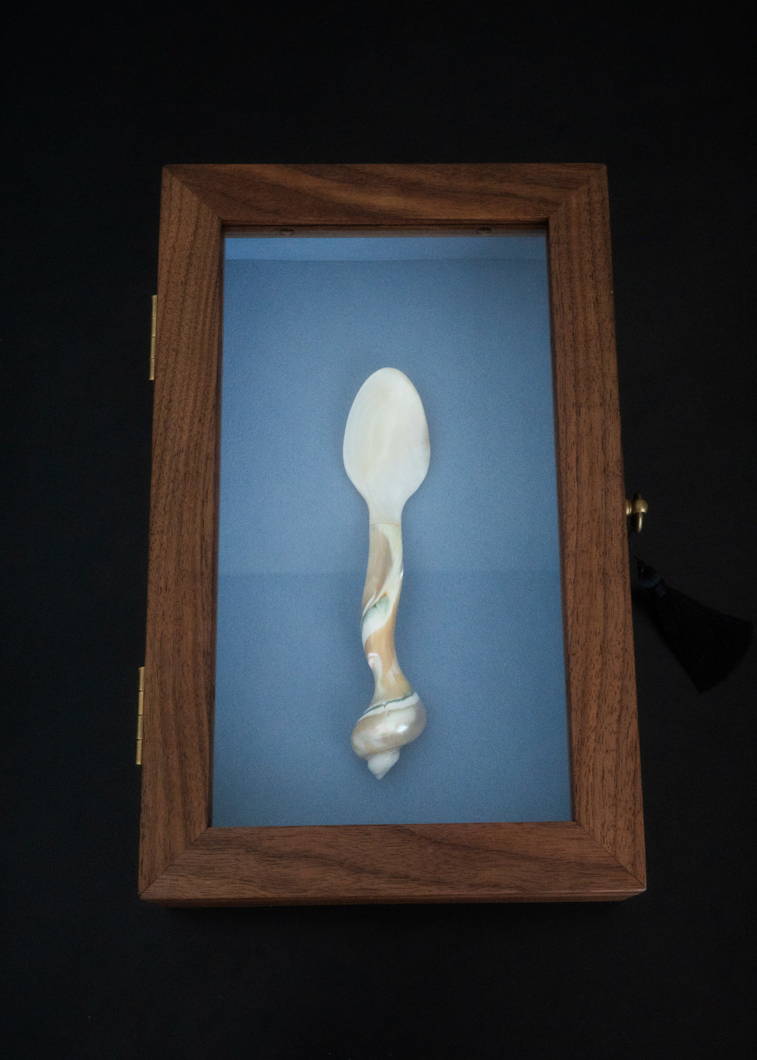 Petite lagoon shell spoon