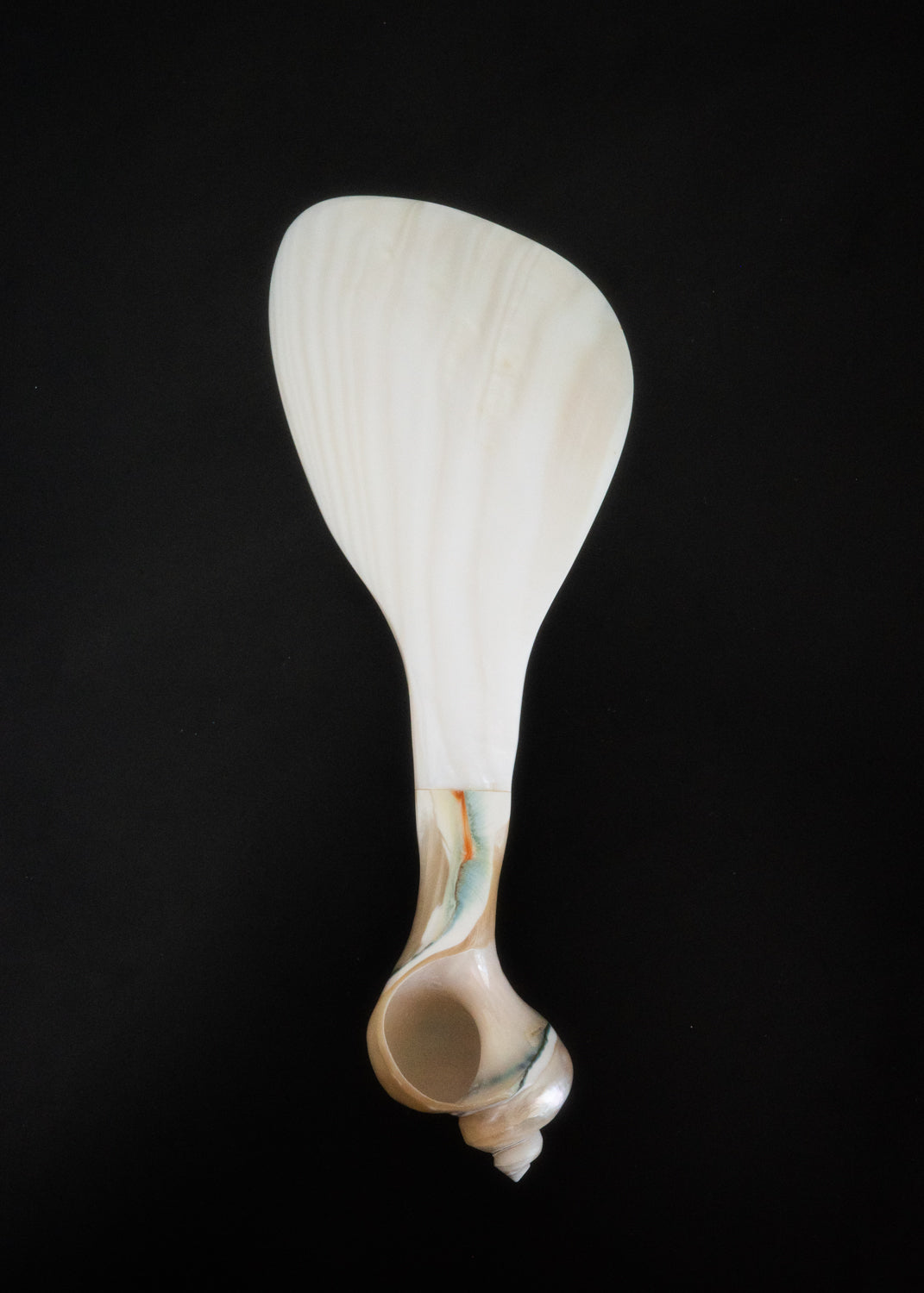 Shell drop spoon