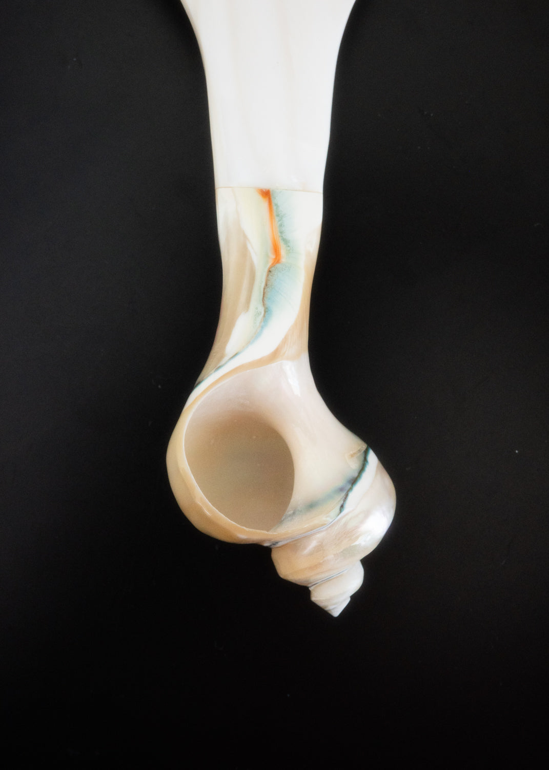 Shell drop spoon
